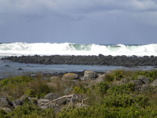 Vor Griffith Island ... perfekte Wellen!
