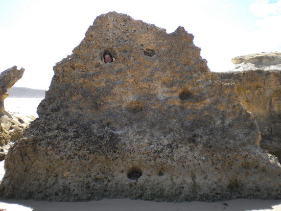 Suchbild Nr. 2 auch hier versteckt sich die Mama!