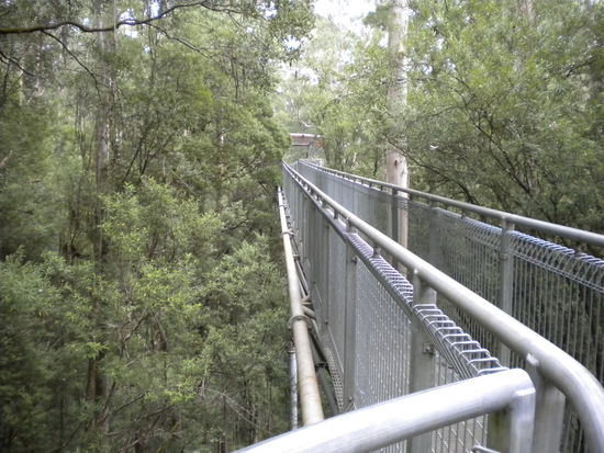 Der Otway Fly ... eine wirklich tolle Konstruktion!
