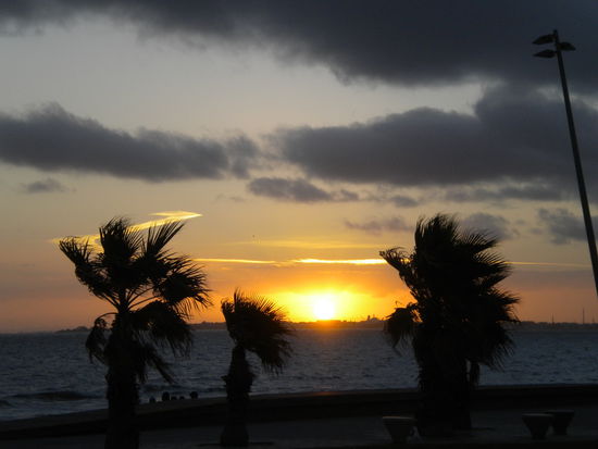 Palmen, Sonne und Strand ... und das im Herbst 