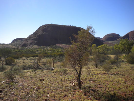 ... in diesem Fall die Olgas, die vom wandern her noch interessanter waren als der Ayers Rock!