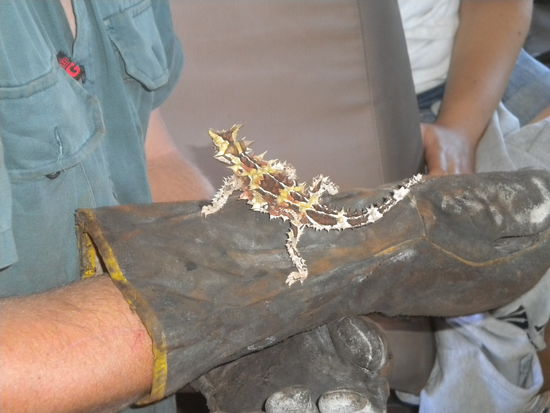 Auch exotische Tierkunde stand auf dem Programm!