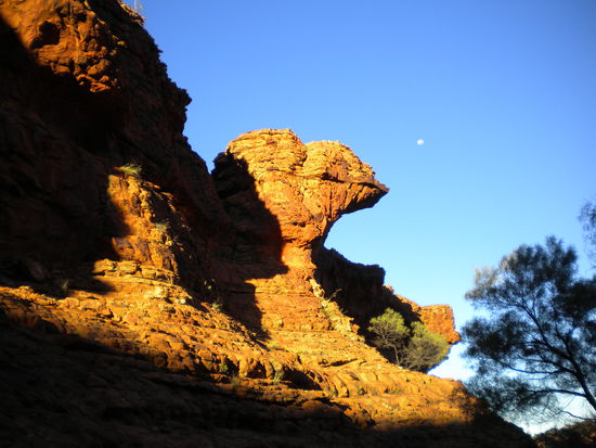 Verrückte Gesteinsformationen am Kings Canyon ... hier das Kamel!