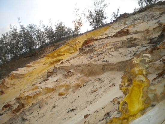 ... die Wunder der Natur bestaunen ...