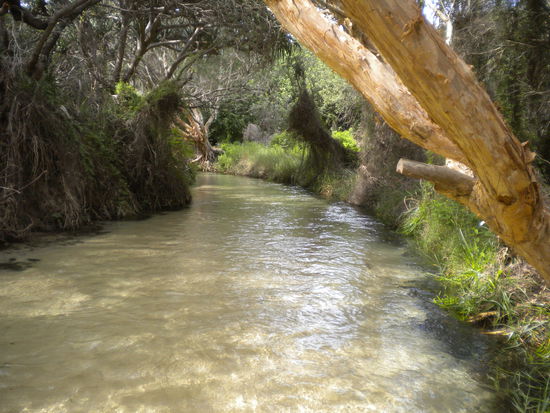 ... das Paradies auf Fraser ...