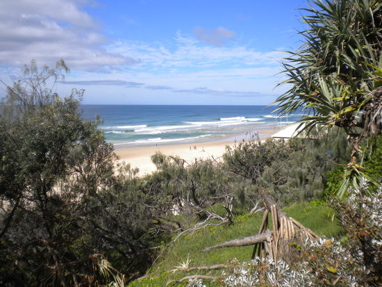 Sunshine Beach in Noosa ...