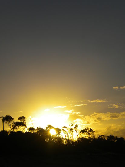 ... der Sonne entgegen ...