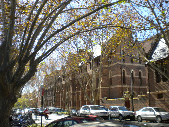 Sydney im Herbst bei 24Grad und Sonne pur ....