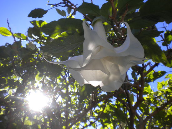 Ich freue mich schon auf die Natur, die ich Neuseeland geboten bekomme und euch nach Hause schicken kann!