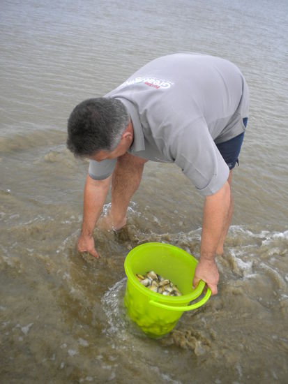 ... der Busfahrer beim Muscheln sammeln, die wir dann gleich so frisch aus dem Wasser probiert habe, sogar ich habe zwei probiert und es war lecker ...