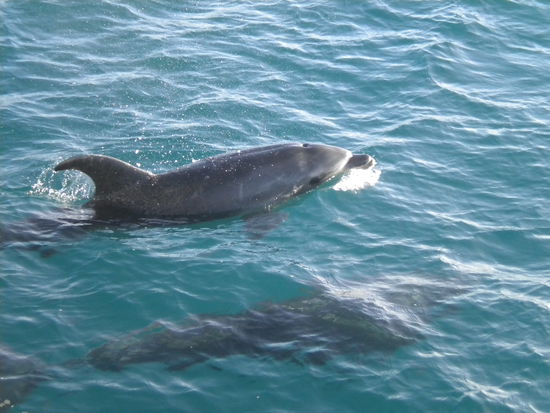 ... ein tolles Erlebnis ...