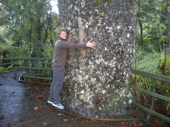... einen Kauri Baum drücken bringt Kraft den nächsten Tag, kann ich nur bestätigen ...