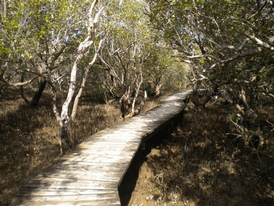 .... der Weg ist das Ziel ...