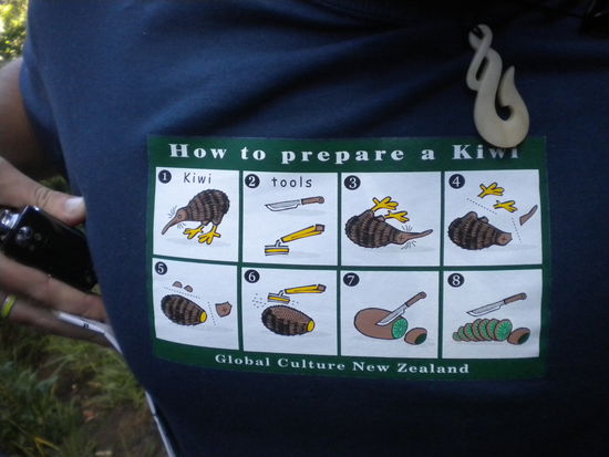 nun wisst ihr wie ein Kiwi zubereitet wird 