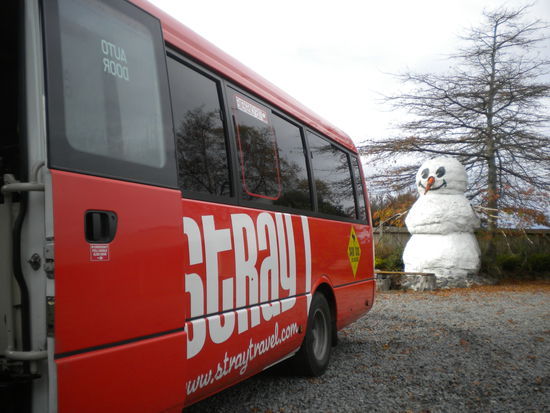 ... einige Orte in Neuseeland haben komische Maskotchen!