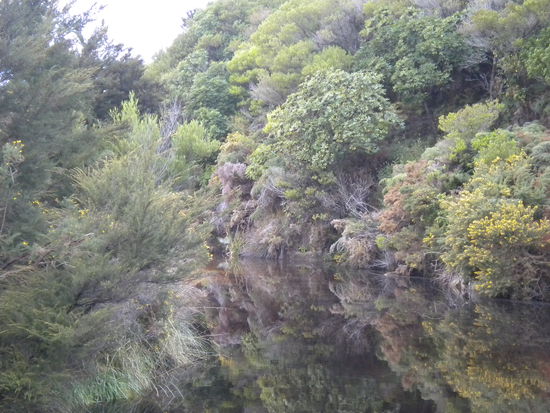 ... die perfekte Illusion ... ein kleiner See als Spiegel ...