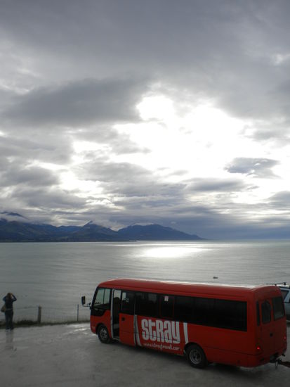 Hier der Stray Bus mit Blick auf die Bucht von Kaikoura ...