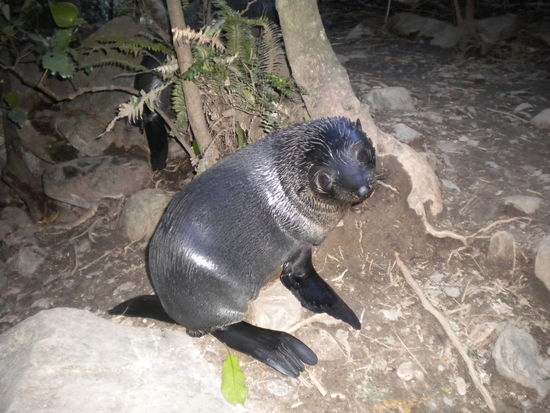 ... der hier war noch kleiner und überhaupt nicht ängstlich!