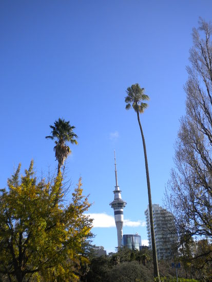 Der Sky Tower ...