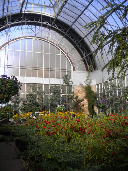 ... the Winter Garden ...