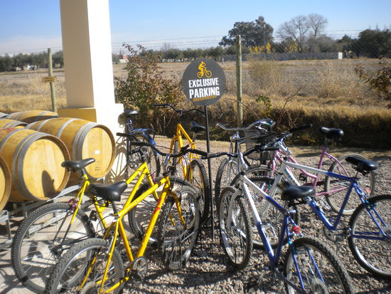 .... auf dem Weingut hatten wir dann excluxives Parkrecht ...