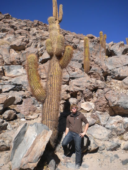 ... und er sticht sticht sticht sticht sticht ...