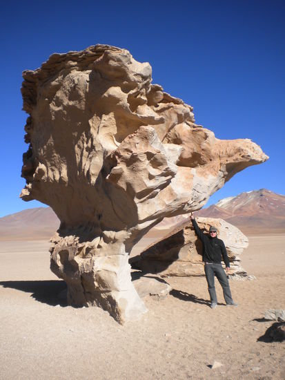 ... zum Glück war ich da, sonst wäre der Baum wohl eingestürzt ...