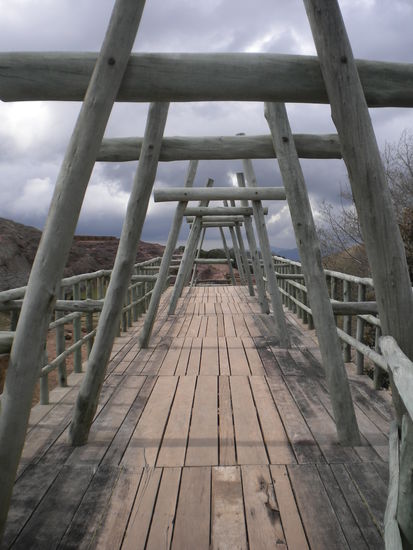 ... von diesen Gerüsten aus, bekommt man bessere Einblicke in die Gravuren ...