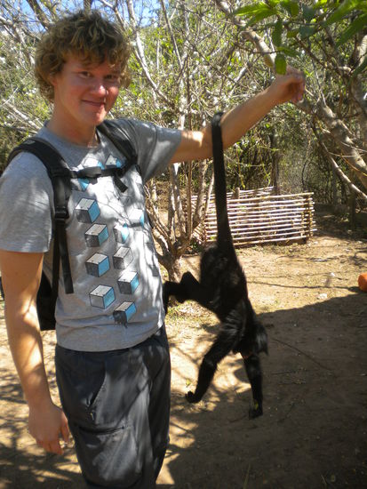 ... mein Freund der Affe, der hier nur an seinem Schwanz hängt ....