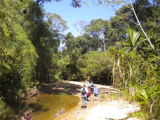 ... am nächsten Tag dann wieder bei tollem Wetter durch die Tropen ...