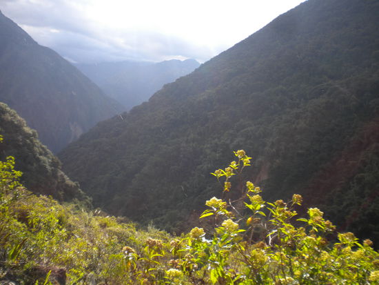... von der kahlen Berglandschaft runter in den Wald ...