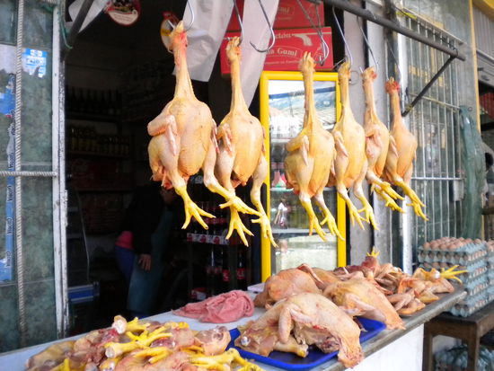 ... ob die einen wohl noch wecken? ...