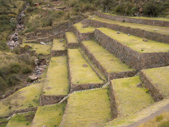 ... und noch mehr Terassen, perfekt angelegt und gepflegt ...