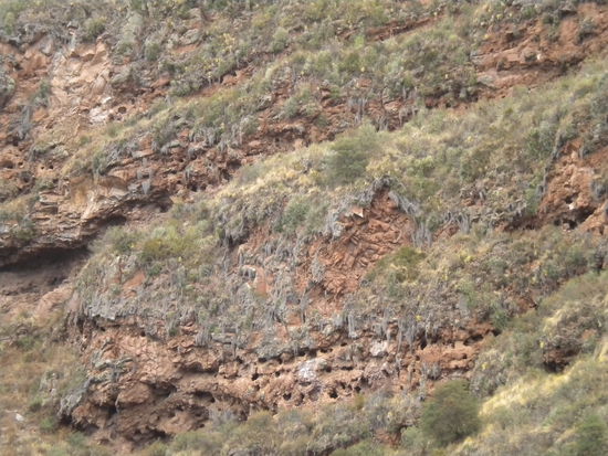 ... die Löcher sind übrigens ausgeraubte Inkagräber ...