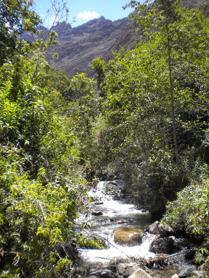 ... der Wanderauftakt mit Sonne und viel Natur ...