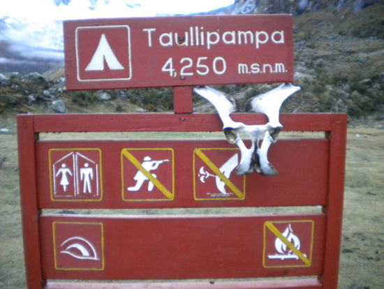 ... Camp 2, ob der Schädel was zu bedeuten hat? ....