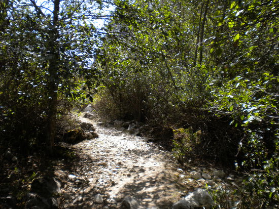 ... kaum den luftigen Höhen entronnen, wird es auch schon wieder grün ...