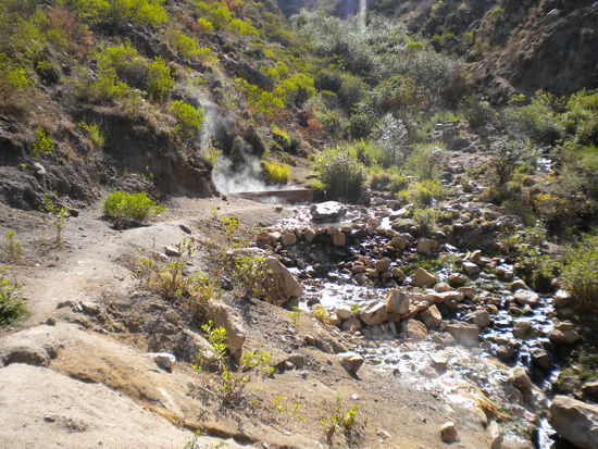 ... im Hintergrund dampft der heißeste Pool, dort ist es so heiß, dass viele Bewohner dort am Wochenende Kartoffeln und Eier kochen (kein Witz) ...