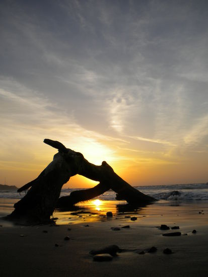 ... eines meiner wohl besten Naturbilder ...