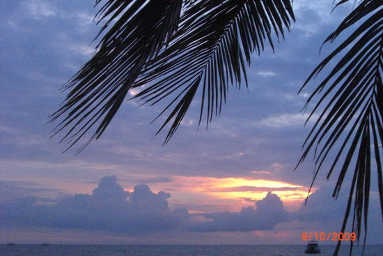 So und zum Abschluss noch einen schönen Sonnenuntergang unter Palmen!