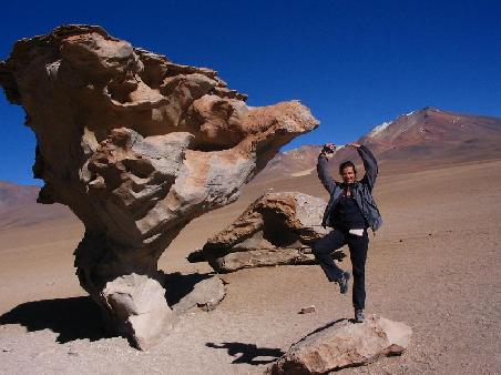 Arbol de Piedra