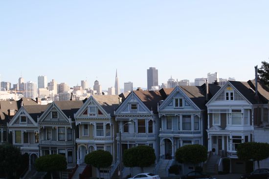 Painted Ladies