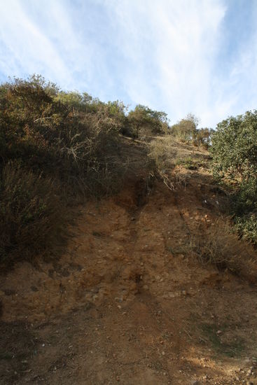 da oben waren wir  (unter Lebensgefahr)