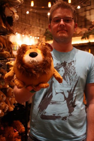 so sehen Löwen in Amerika aus