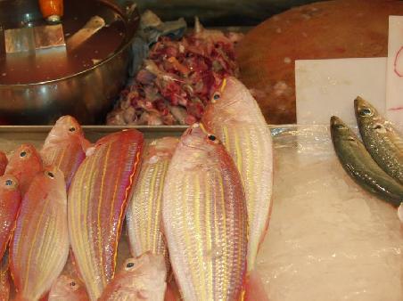 Fische