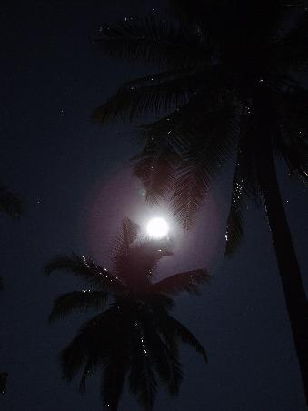 Hail to the moon