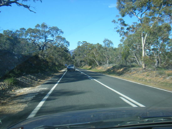 endlose weite und nur busch und kängoroos dann später...