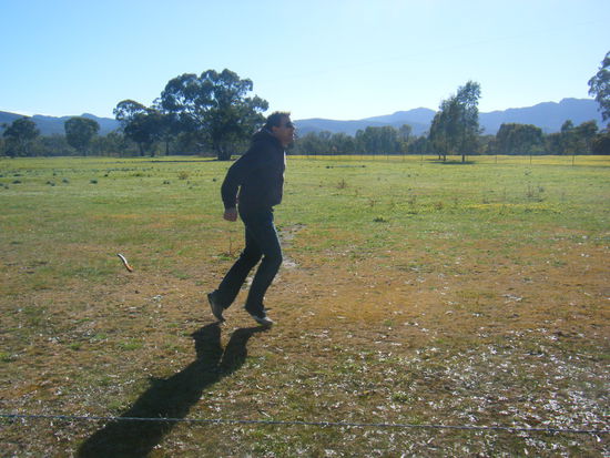 das erste kängoroo^^ der hat so viel stuss im kopf der ralf^^