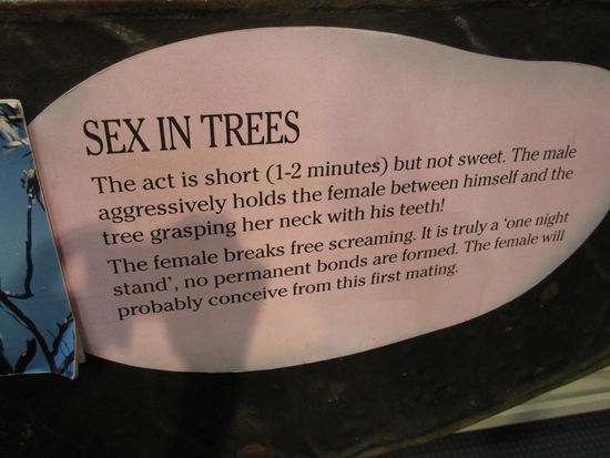 nur mal so zu rinformation^^