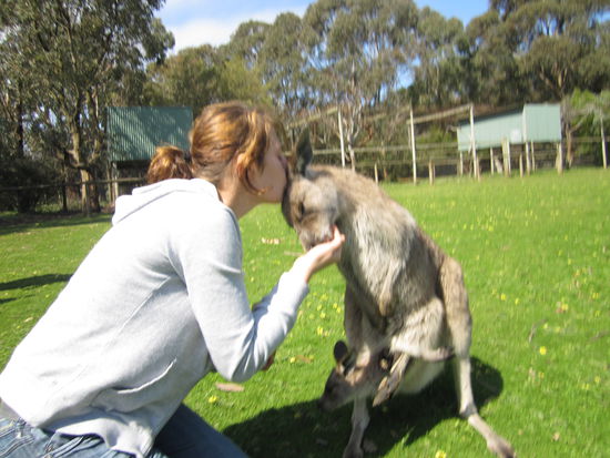 sie hat es geschafft... wenn der freund schon in deutschland bleiben musste, muss wenigsten was anderes süßes her^^